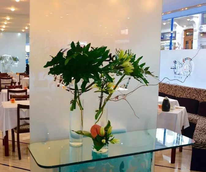 Fotos del hotel Bisonte Palace:  10