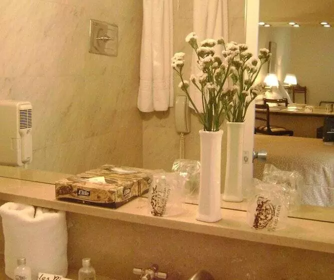 Fotos del hotel Bisonte Palace:  4