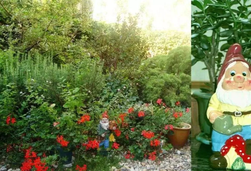 Fotos del hotel Le Dome:  19