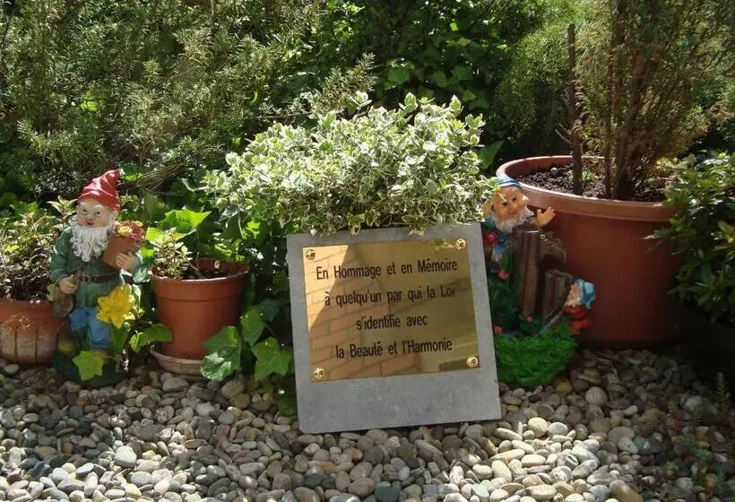 Fotos del hotel Le Dome:  7