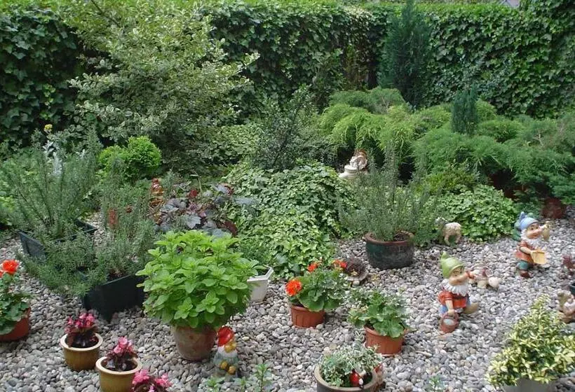 Fotos del hotel Le Dome:  21