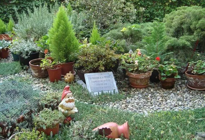 Fotos del hotel Le Dome:  16