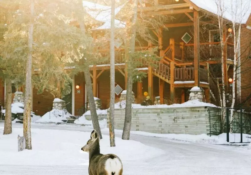 Fotos del hotel Buffalo Mountain Lodge:  20