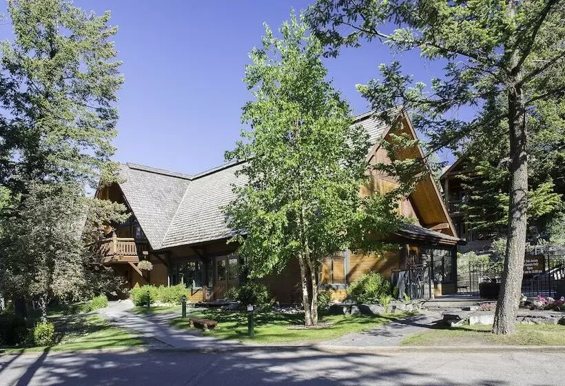 Fotos del hotel Buffalo Mountain Lodge:  16