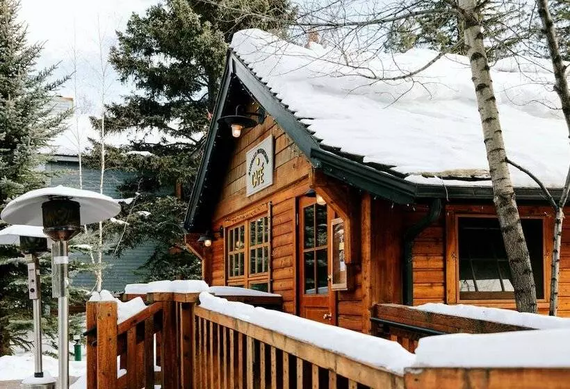 Fotos del hotel Buffalo Mountain Lodge:  23