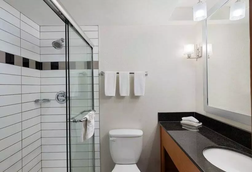 Fotos del hotel Holiday Inn Calgary Airport, An Ihg:  12