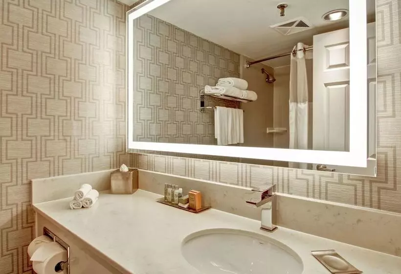 Fotos del hotel Doubletree By Hilton Toronto Downtown:  10