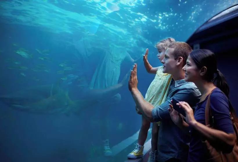 Fotos del hotel Intercontinental Toronto Centre, An Ihg:  5