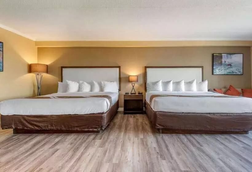 Fotos del hotel Quality Inn And Suites:  12