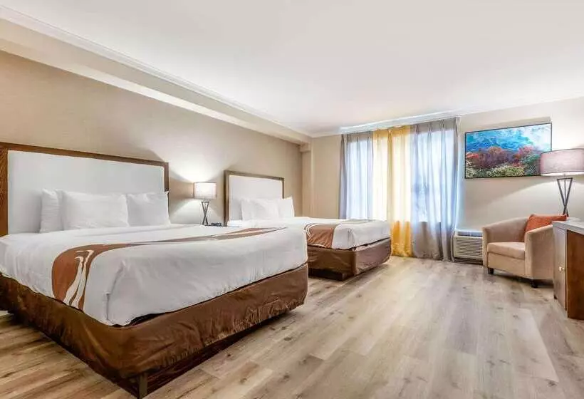 Fotos del hotel Quality Inn And Suites:  17