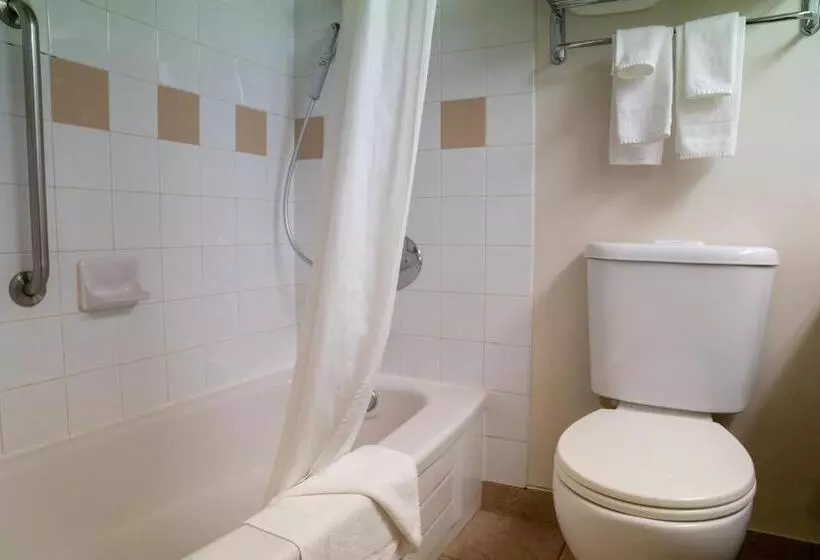 Fotos del hotel Sawridge Inn & Conference Centre Jasper:  7