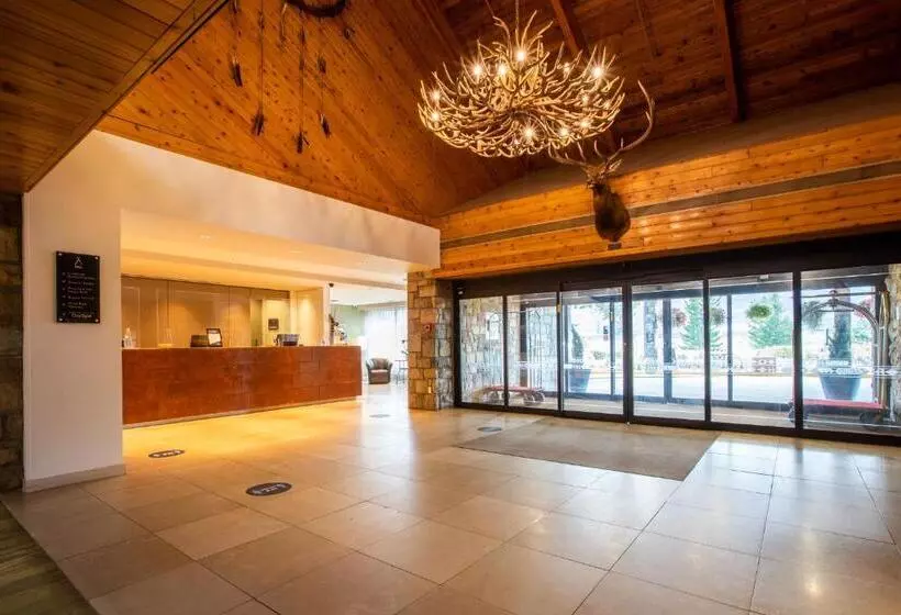 Fotos del hotel Sawridge Inn & Conference Centre Jasper:  3