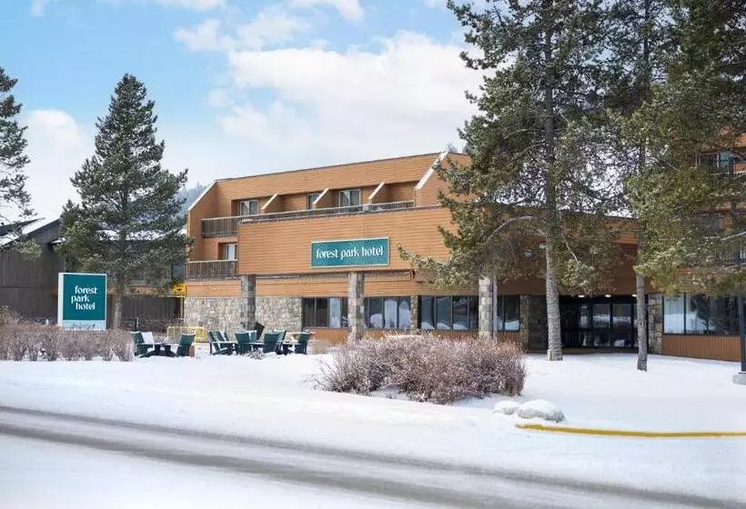 Fotos del hotel Sawridge Inn & Conference Centre Jasper:  13