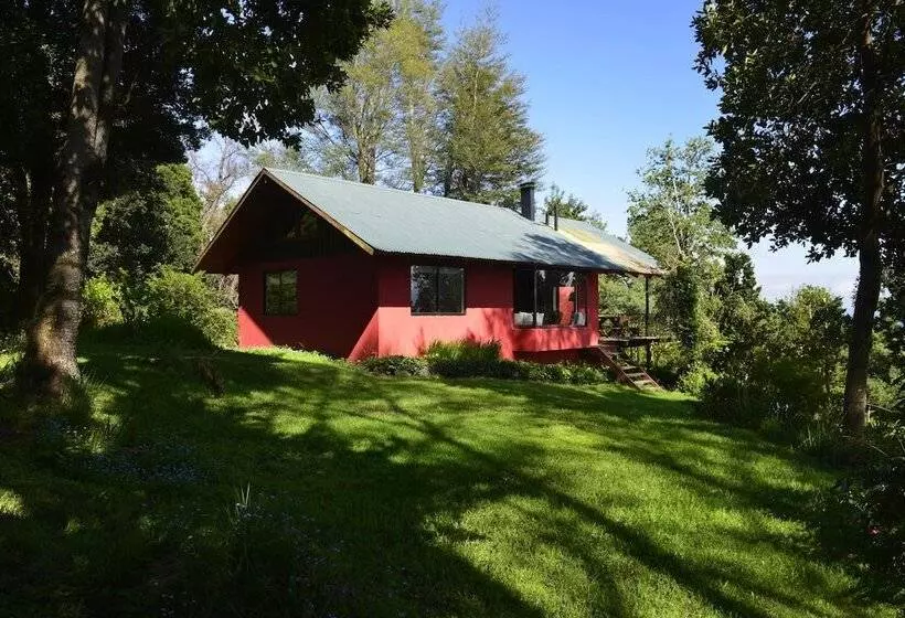 Fotos del hotel Antumalal:  10