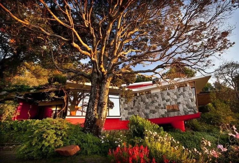 Fotos del hotel Antumalal:  12