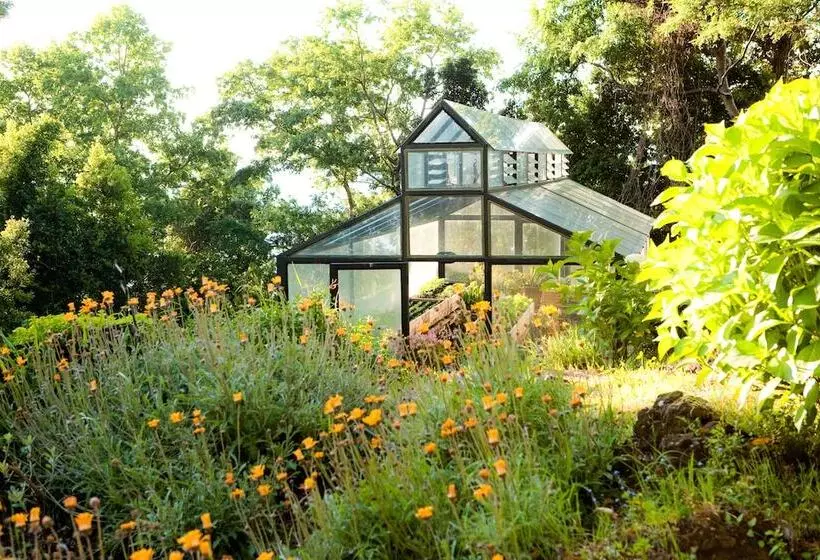 Fotos del hotel Antumalal:  3