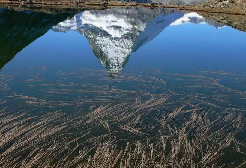 Fotos del hotel Gornergrat Dorf:  7