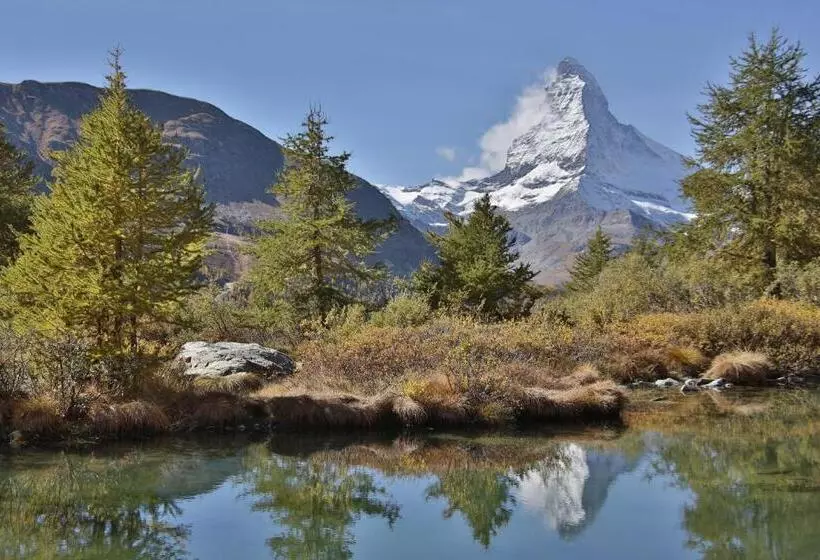 Fotos del hotel Gornergrat Dorf:  8
