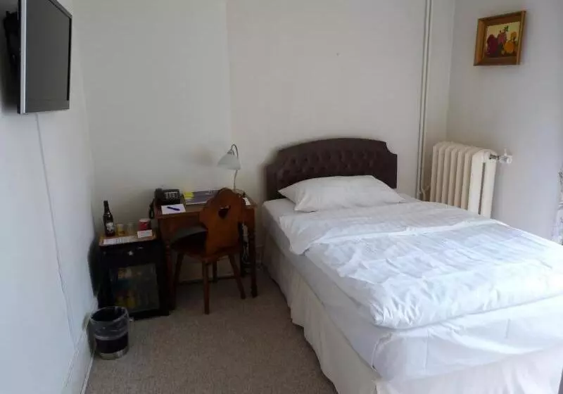 Fotos del hotel J5 Hotels Helvetie & La Brasserie:  13