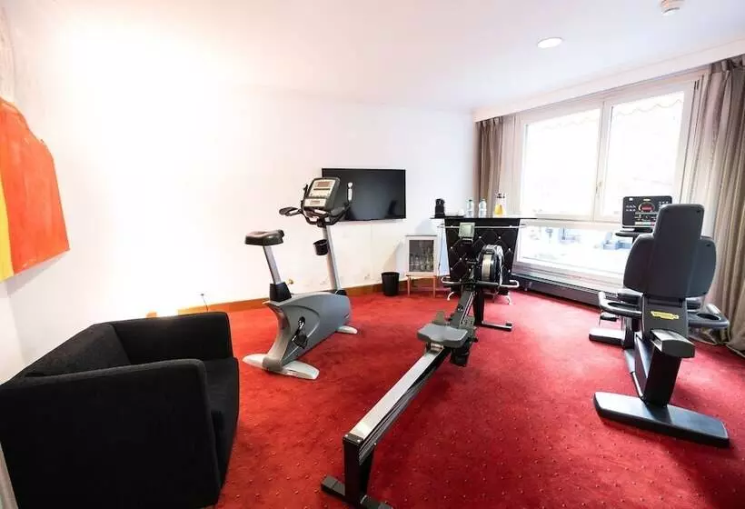 Fotos del hotel The Ambassador:  24