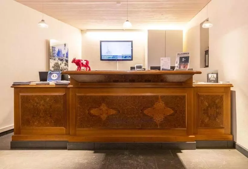 Fotos del hotel Montana:  4