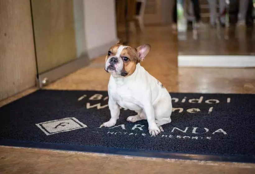 Fotos del hotel Faranda Express Belvedere:  21