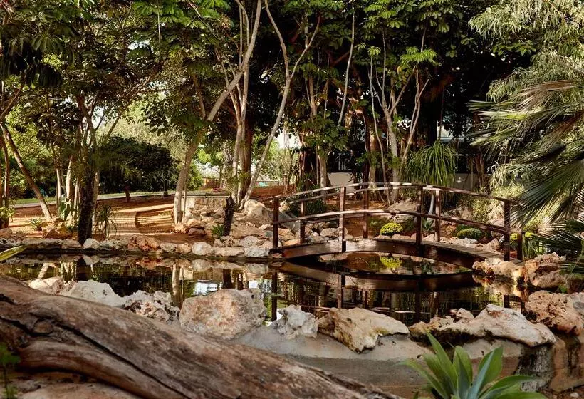 Fotos del hotel Grecian Bay:  19