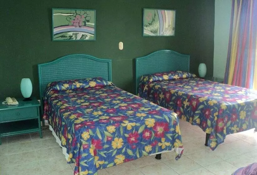 Fotos del hotel Los Delfines:  9