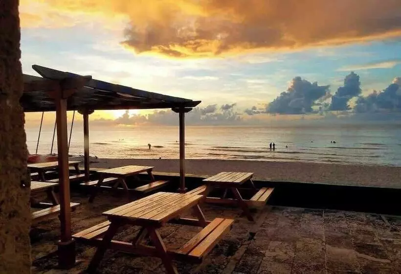 Fotos del hotel Los Delfines:  17