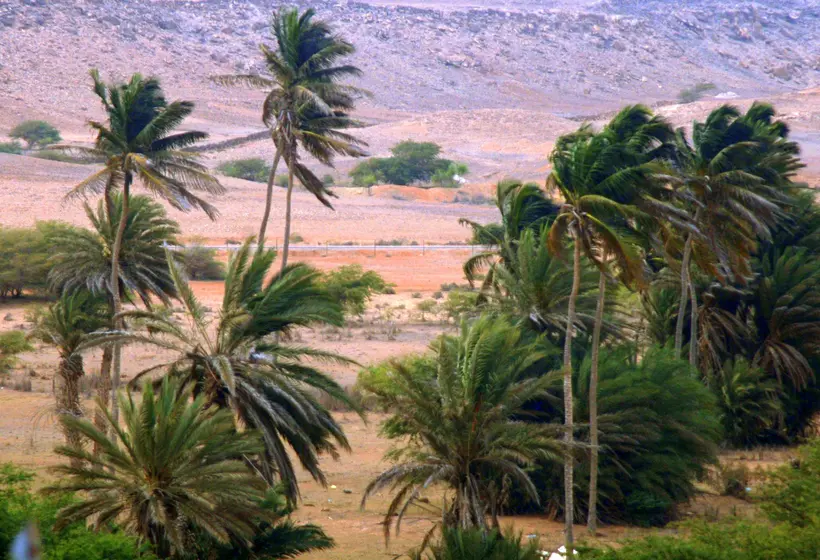 Fotos del hotel Morabeza:  43