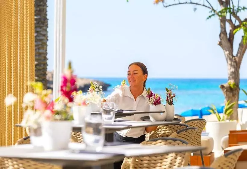 Fotos del hotel Pavlo Napa Beach:  18