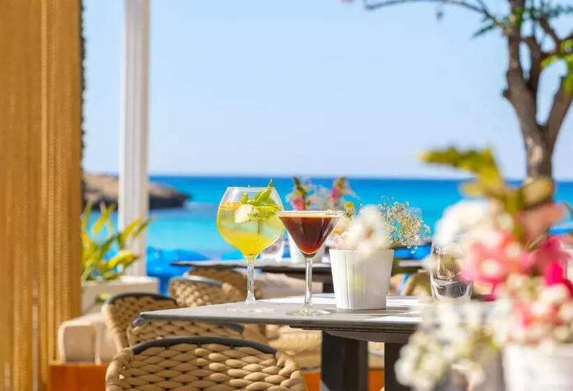 Fotos del hotel Pavlo Napa Beach:  13