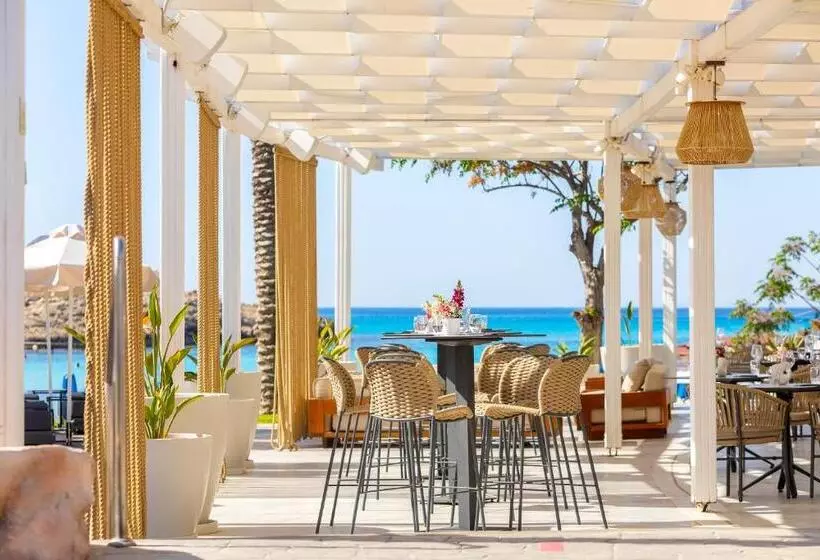 Fotos del hotel Pavlo Napa Beach:  5