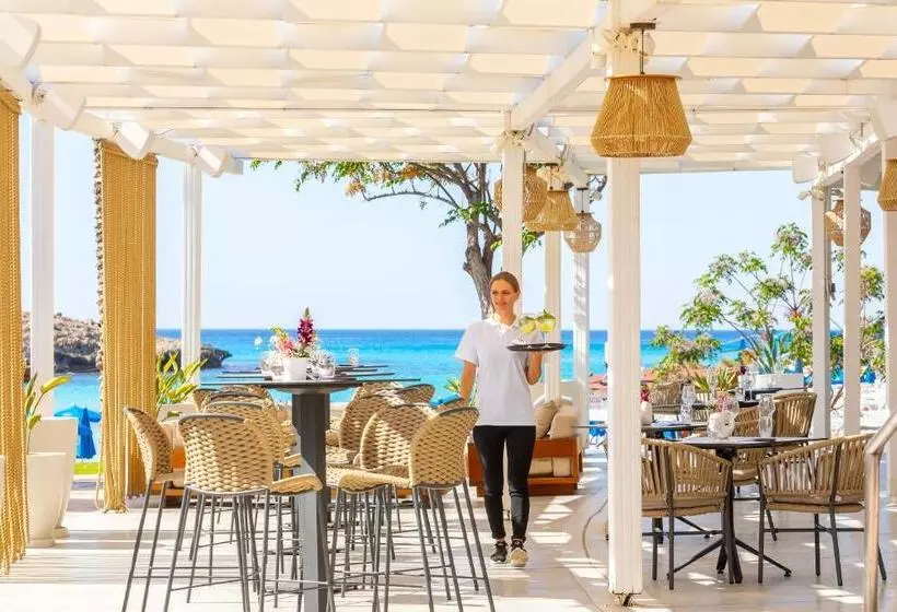 Fotos del hotel Pavlo Napa Beach:  21