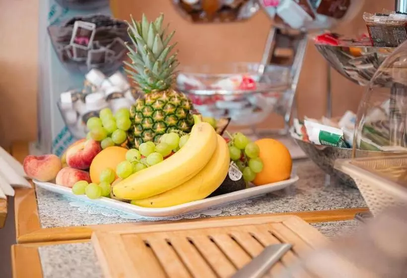 Fotos del hotel Hansa:  13