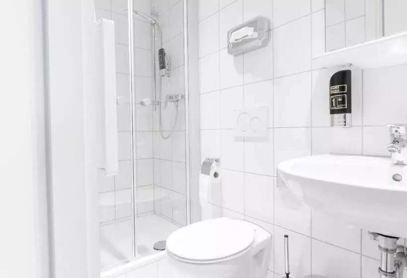 Fotos del hotel Hansa:  4