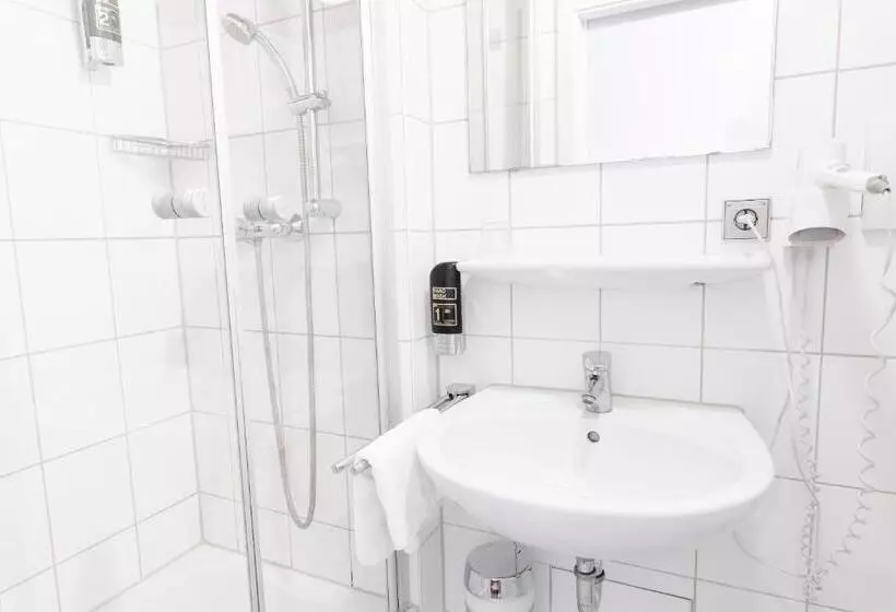 Fotos del hotel Hansa:  14