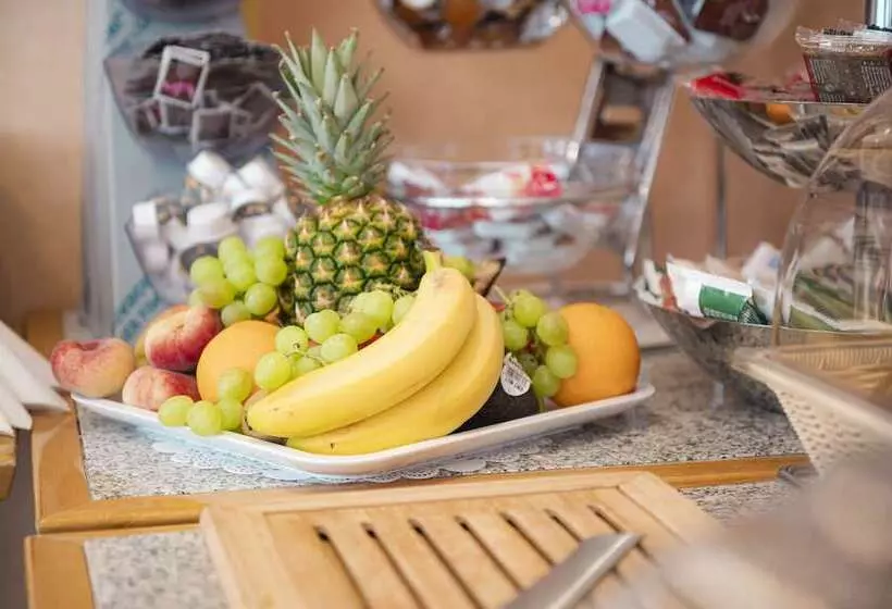 Fotos del hotel Hansa:  16