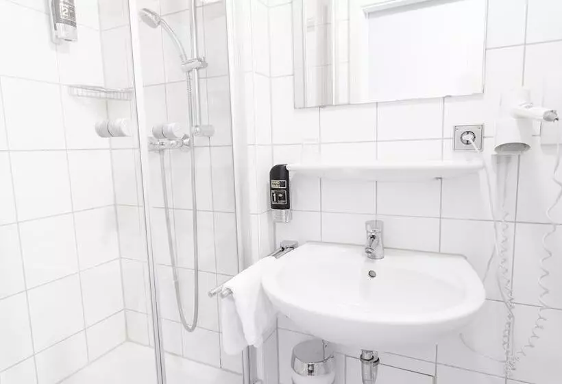 Fotos del hotel Hansa:  9