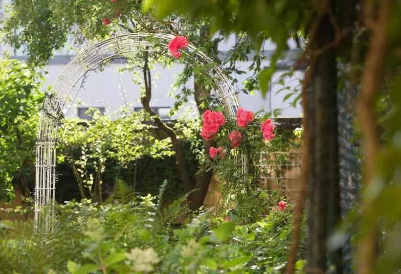 Fotos del hotel Aurbacher Hof Gmbh:  6