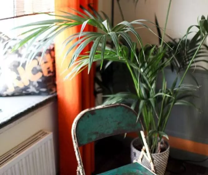 Fotos del hotel Boutique Hotel Krone München:  2