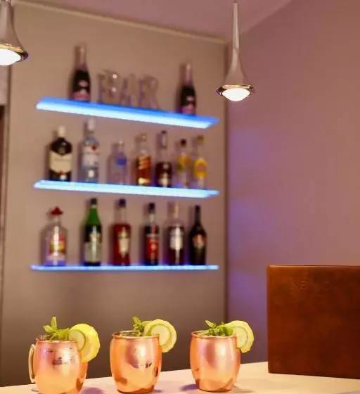 Fotos del hotel New Orly:  4