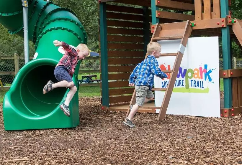 Fotos del hotel Newpark:  4