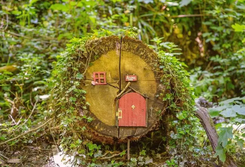 Fotos del hotel Waterford Castle Hotel & Golf Resort:  6