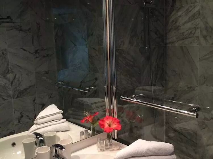 Fotos del hotel Festival:  16