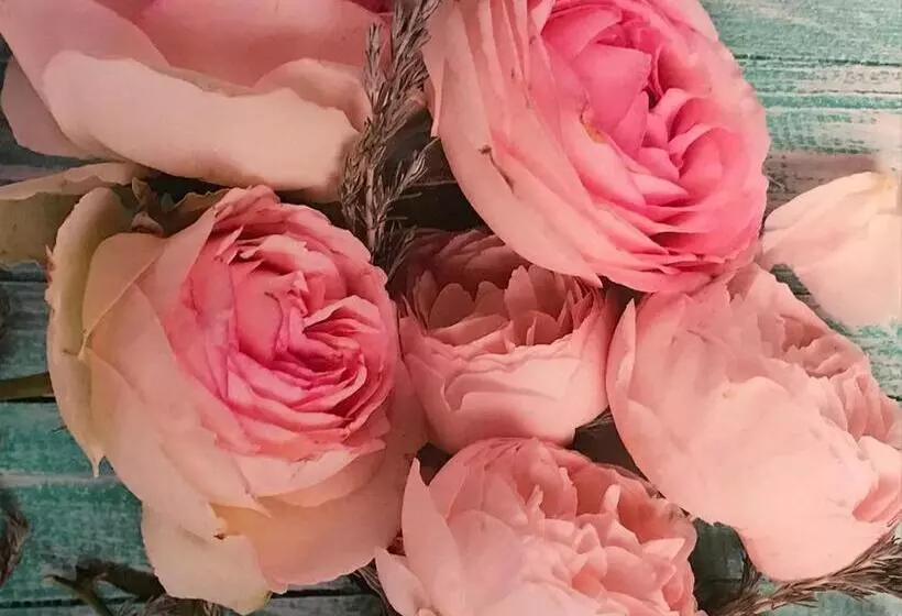 Fotos del hotel Festival:  9