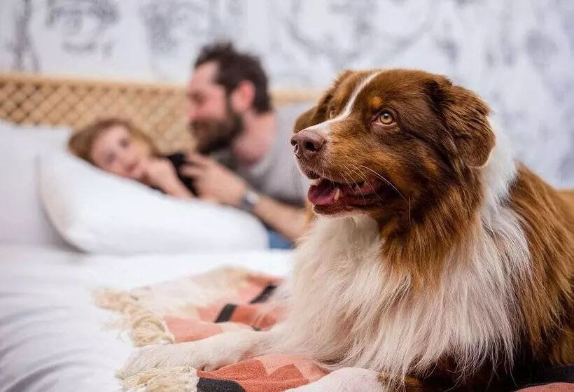 Fotos del hotel Mercure Reims Parc Des Expositions:  5