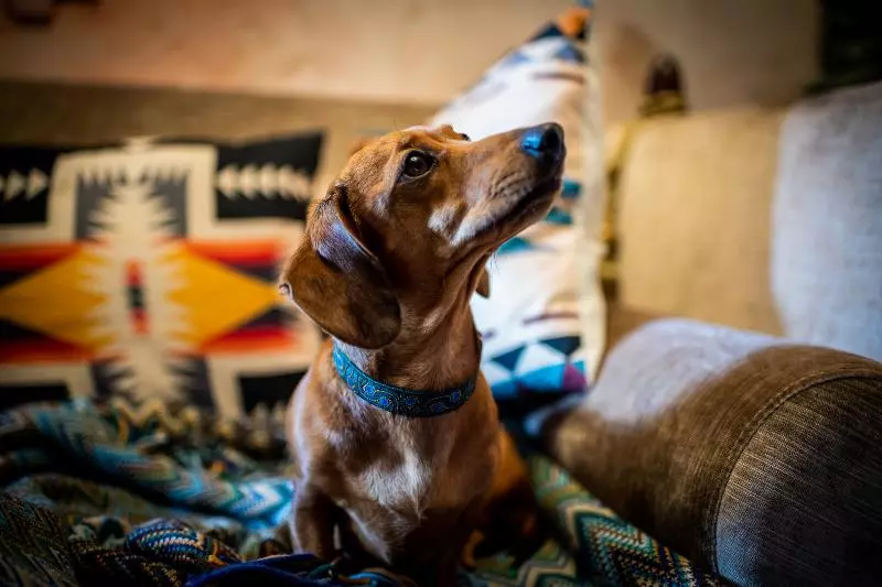 Fotos del hotel Francis Hotel Bath:  18