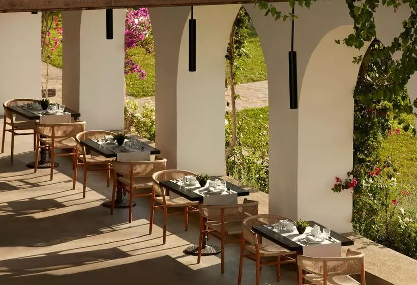 Fotos del hotel Minos Beach Art:  16