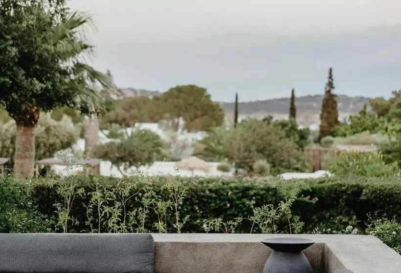 Fotos del hotel Minos Beach Art:  19